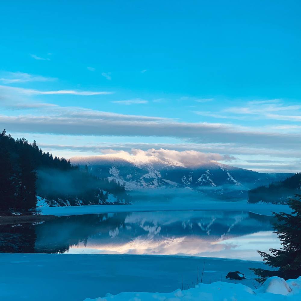 Meet your Posher, Jake